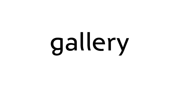 image and video gallery